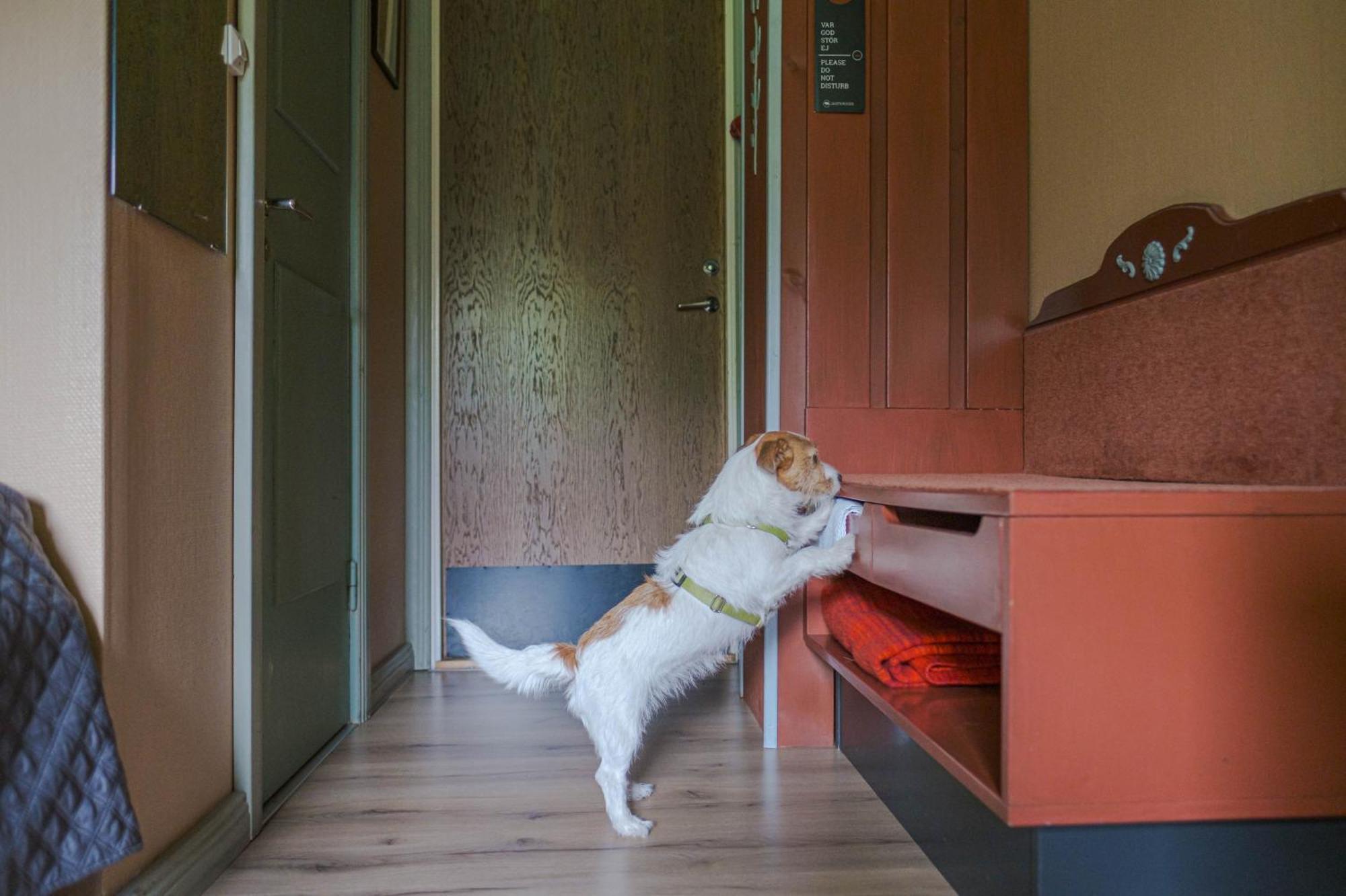 Jaemtkrogen Hotell Bräcke Pokoj fotografie