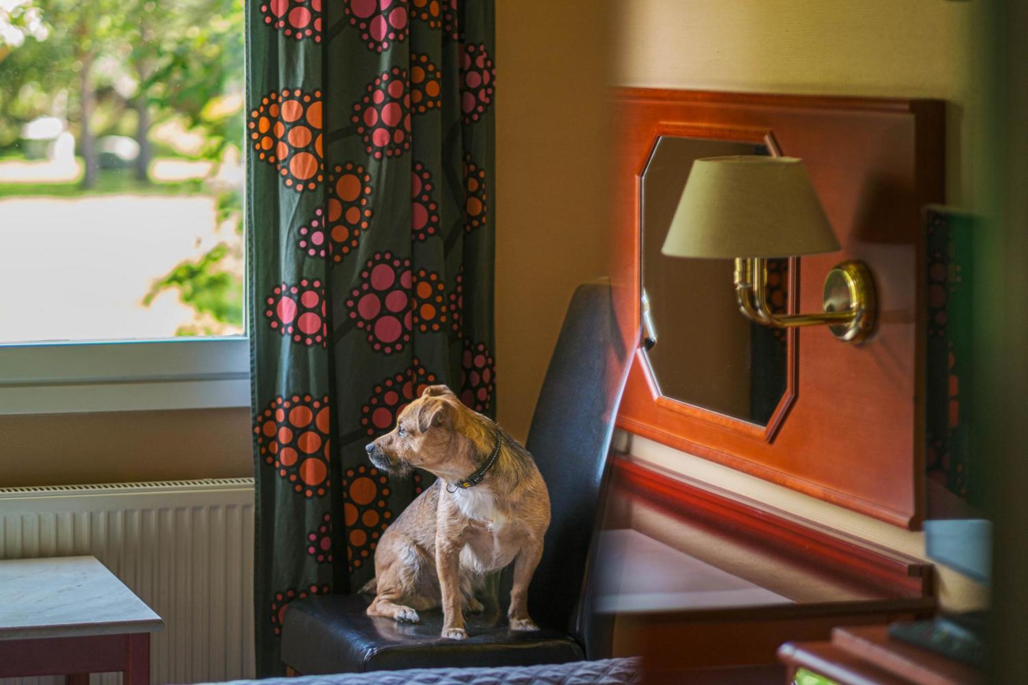 Jaemtkrogen Hotell Bräcke Pokoj fotografie